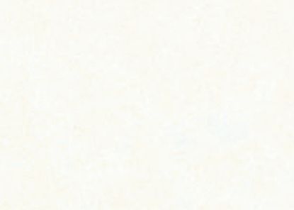 Afbeelding - 8141930210211-jpg